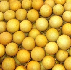 Fresh Longan