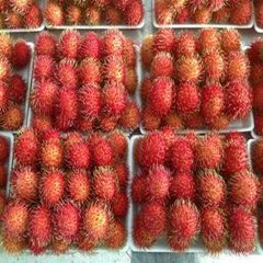 Fresh Rambutan