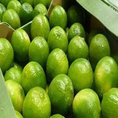 Fresh Seedless Lime - Tahti Lime